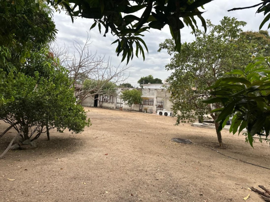 Terreno en SALAGUA — foto 5