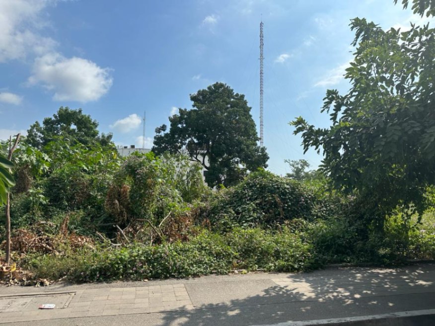 Terreno en VALLE DE LAS GARZAS B1 — foto 7