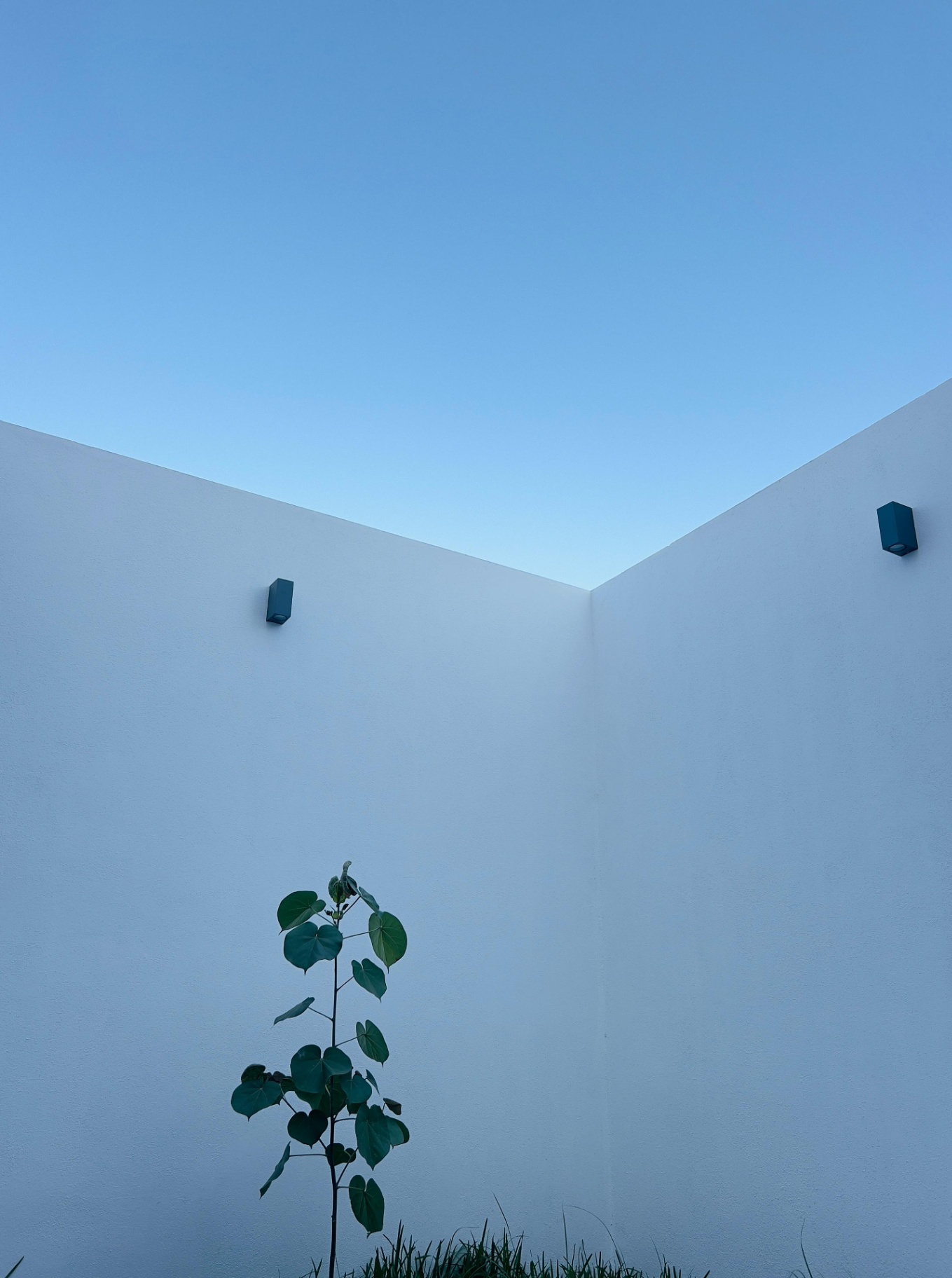 Casa en FRACC. PAROTAS — foto 12