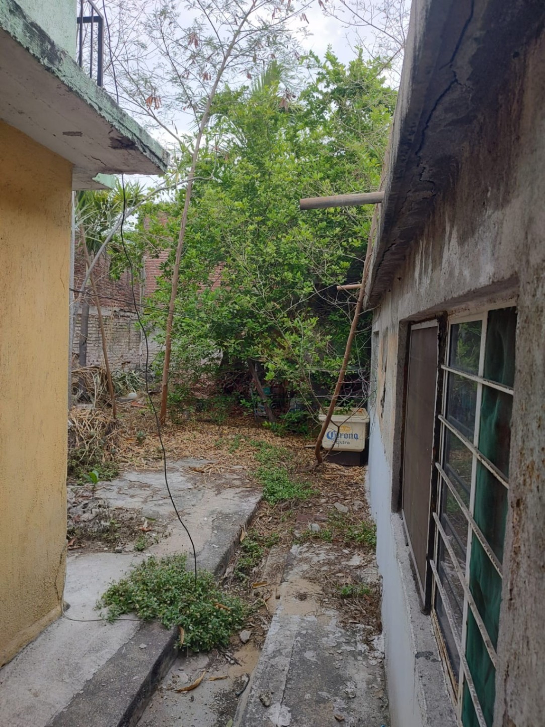 Casa en COL. BURÓCRATA — foto 17