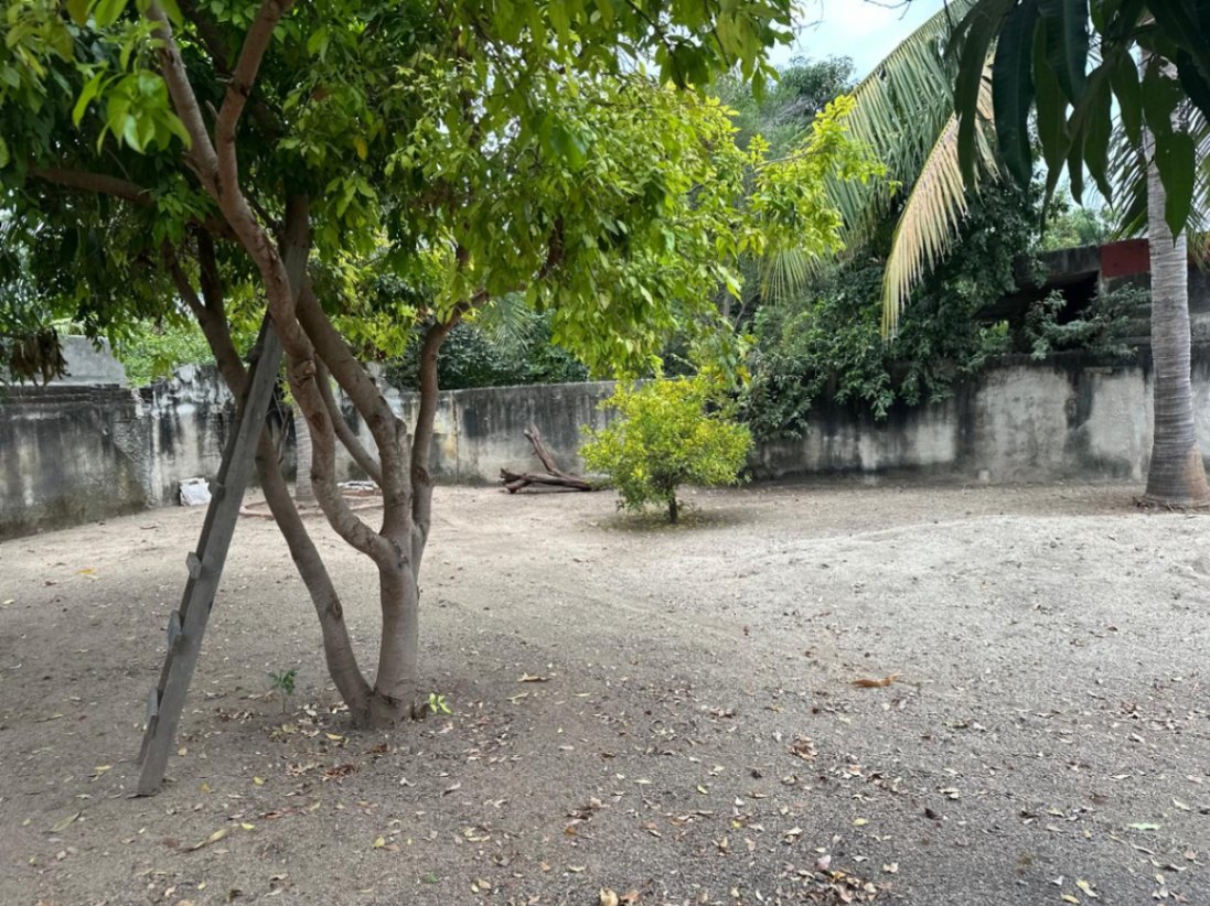 Land in SALAGUA - Manzanillo, Salagua