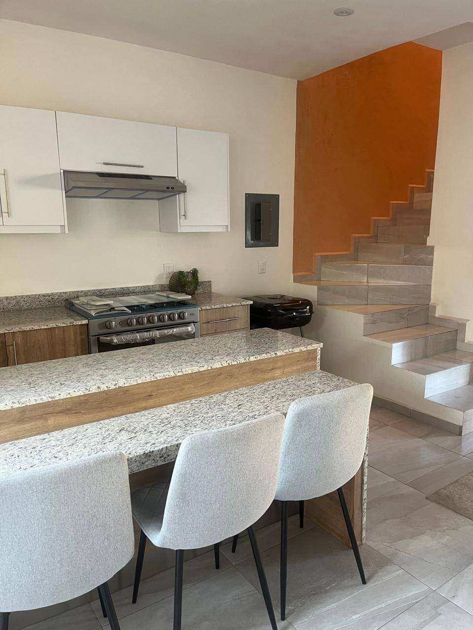 Casa en FRACC. GAVIOTAS MOD. JADE PLUS — foto 10