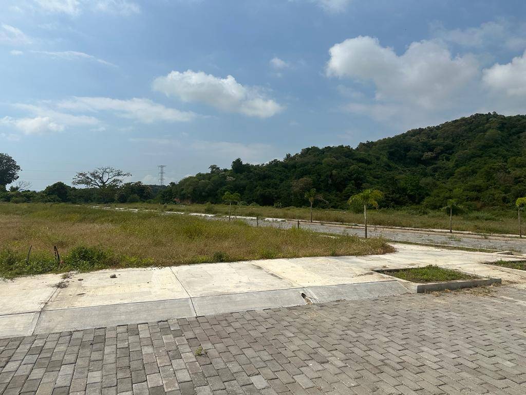 Terreno en FRACC. PUNTA DORADA — foto 6