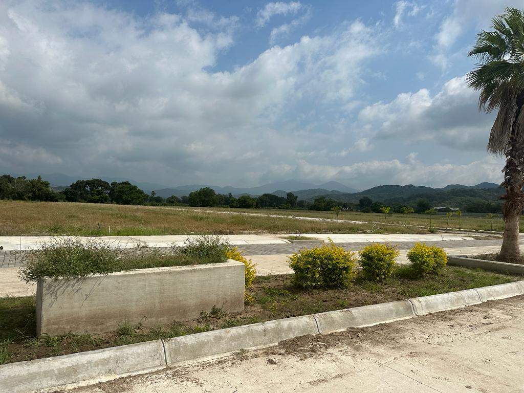 Terreno en FRACC. PUNTA DORADA — foto 7