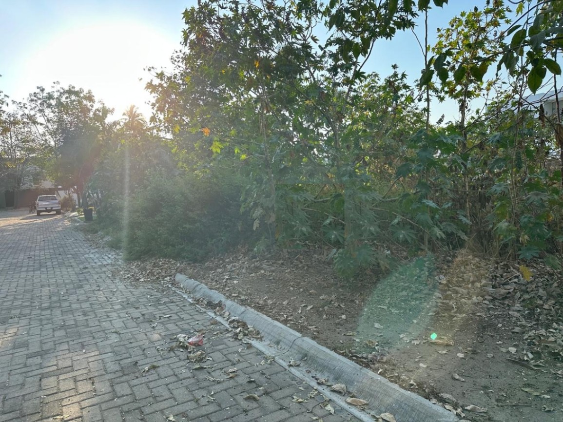 Terreno en FRACC. LA HIGUERA — foto 6