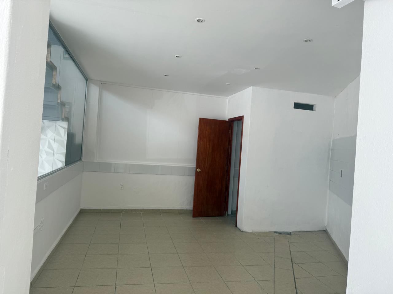 Local Comercial en SAN PEDRITO, COL. CENTRO EN RENTA — foto 8