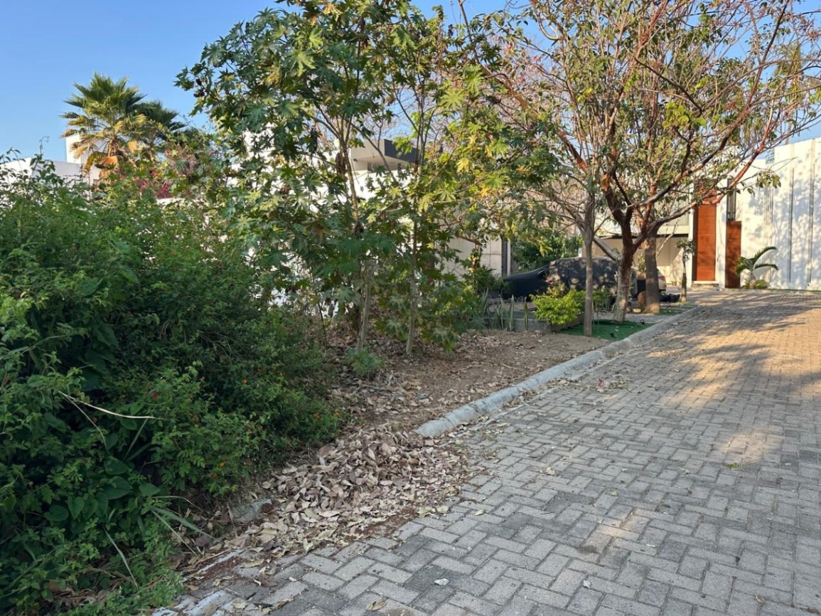 Terreno en FRACC. LA HIGUERA — foto 4