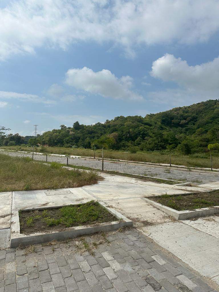 Terreno en FRACC. PUNTA DORADA — foto 9