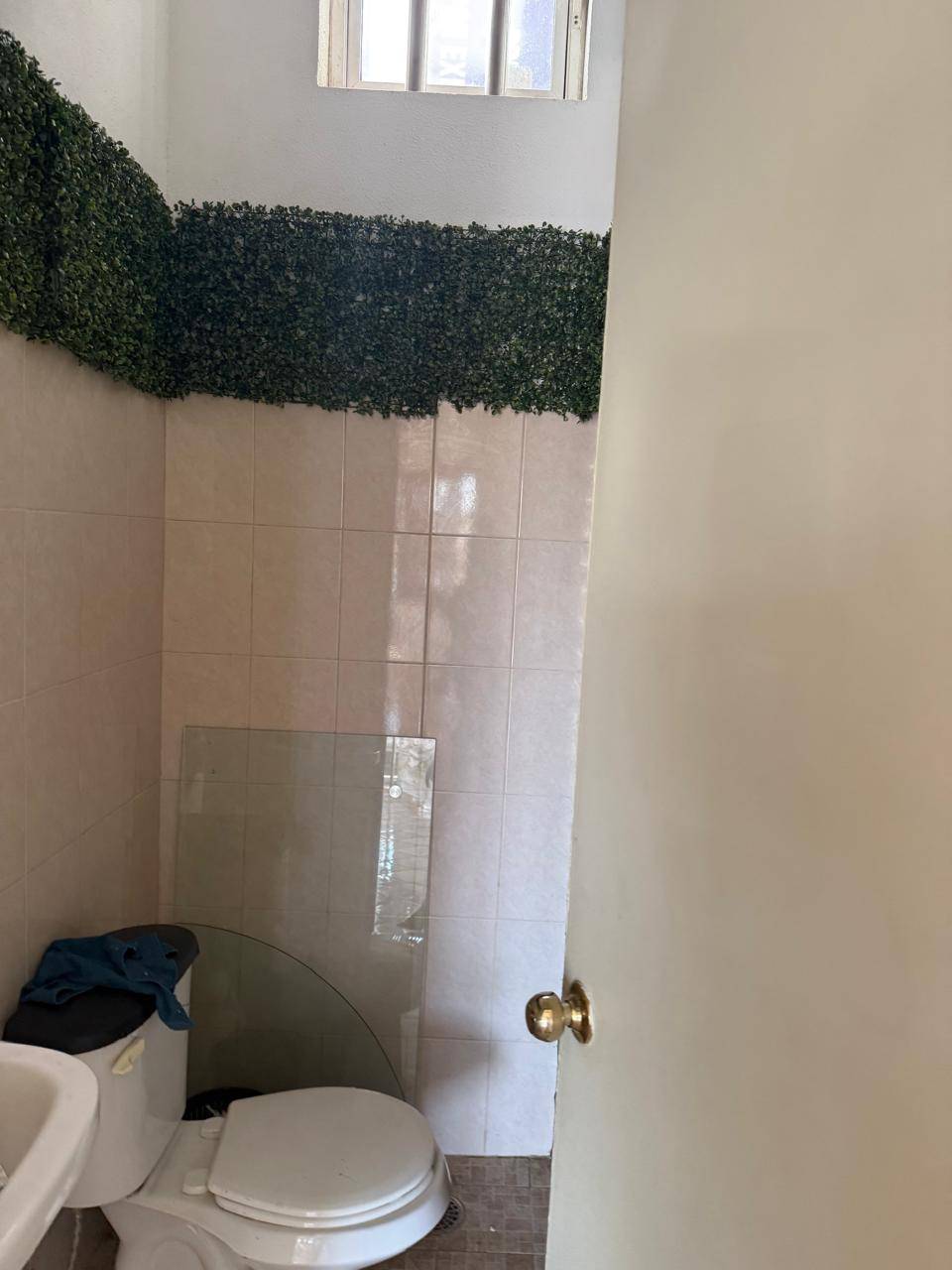 Local Comercial en AV. MANZANILLO — foto 9