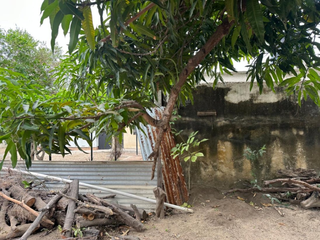 Terreno en SALAGUA — foto 2