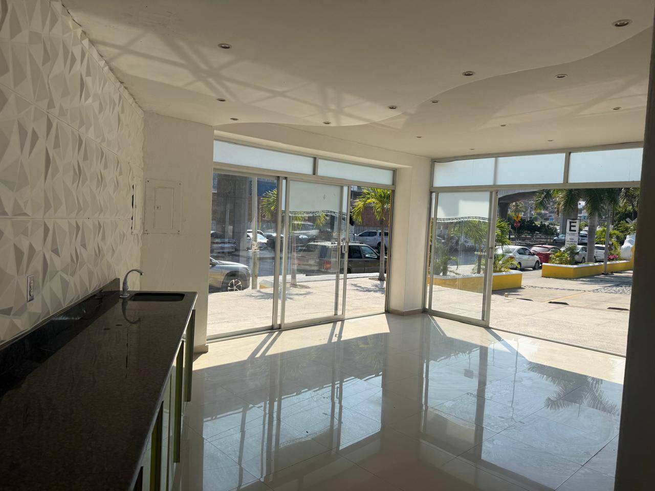 Local Comercial en SAN PEDRITO, COL. CENTRO EN RENTA — foto 6