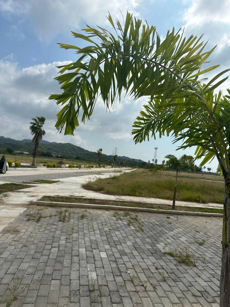 Terreno en FRACC. PUNTA DORADA — foto 5