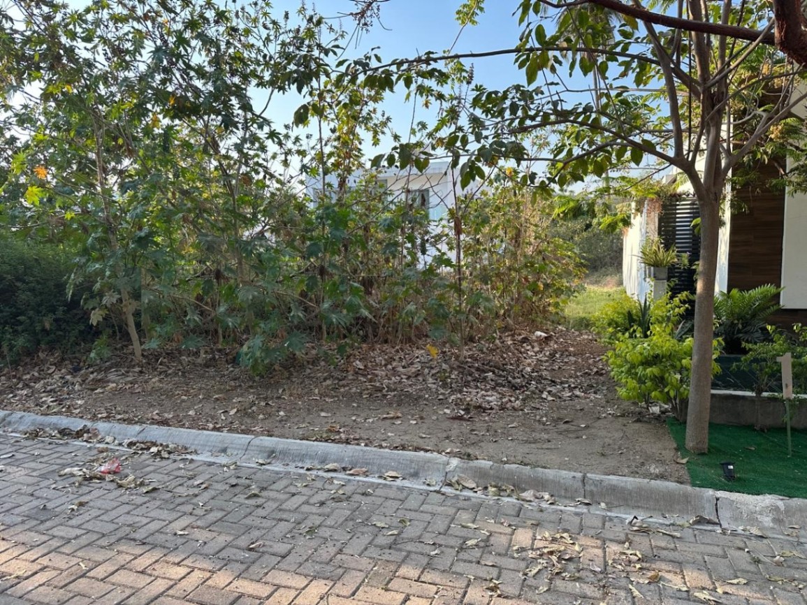 Terreno en FRACC. LA HIGUERA — foto 2